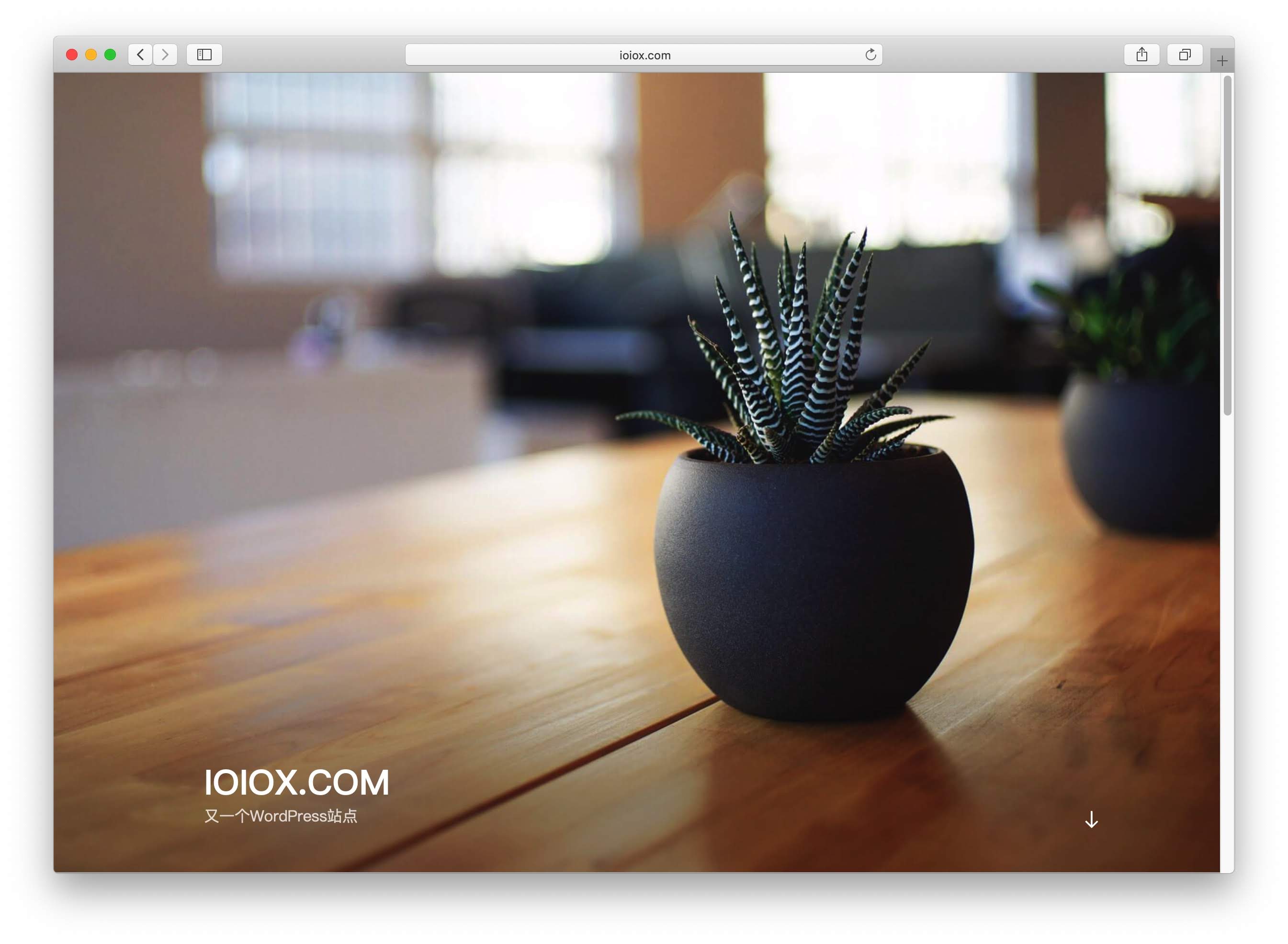 2186625172 2186625172