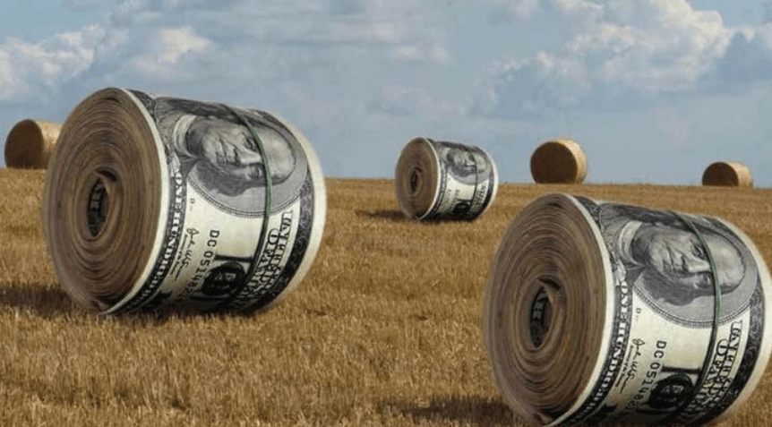 5d9091193d2040a59f10fed948c8e2cd