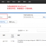 OpenWrt 搭建 WireGuard 服务端使用指南-利剑分享-科技生活
