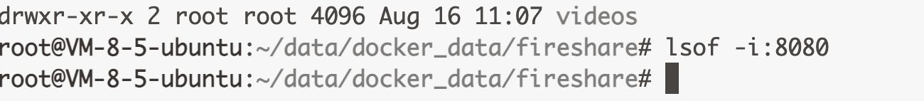 【好玩儿的Docker项目】用腾讯云轻量应用服务器10分钟搭建一个轻量的视频分享网站——Fireshare