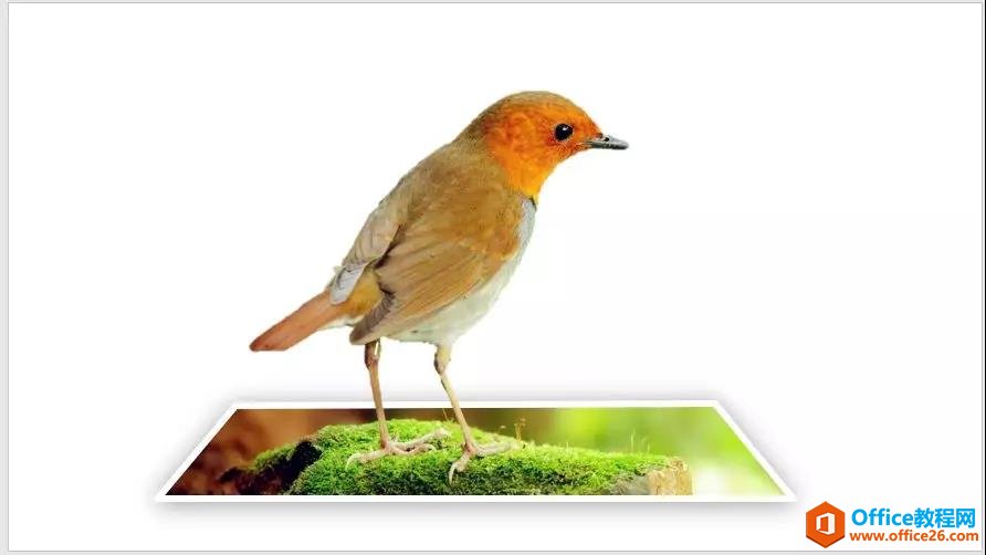 图片[6]-PPT如何制作立体合成图片效果 PPT制作立体合成图片效果实例教程 - 利剑分享-科技生活-利剑分享-科技生活