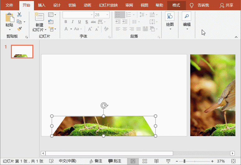 图片[4]-PPT如何制作立体合成图片效果 PPT制作立体合成图片效果实例教程 - 利剑分享-科技生活-利剑分享-科技生活
