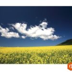 PPT单图版式的花样“变式”法则-利剑分享-科技生活