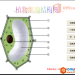利用PPT实现随机拖动交互效果-利剑分享-科技生活