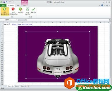 1052154453-1 Excel2010去除图片背景