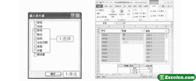 115q34950-2 Excel 2010中的切片器功能