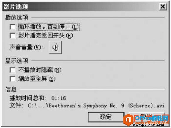 1616242092-1 ppt2003影片选项对话框