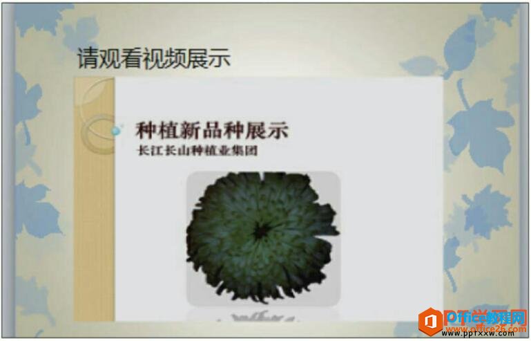 1634194430-1 调整ppt视频的亮度和对比度