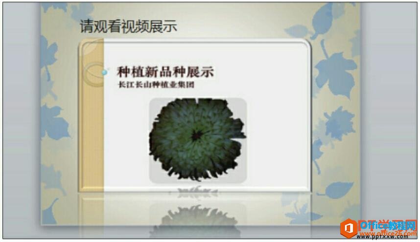 16341ao4-3 ppt视频文件画面效果设置