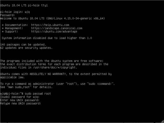 图片[26]-用ESXI搭建自建带广告过滤功能的DNS服务器——Pi-hole - 利剑分享-科技生活-利剑分享-科技生活
