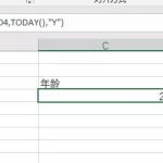 excel 如何计算员工的实际年龄?为啥我算出来是虚岁?-利剑分享-科技生活