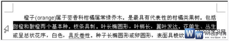 word2003选择部分文本