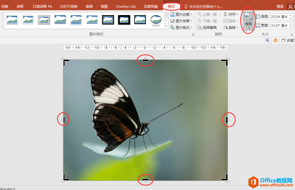 PPT办公技巧：将图片１：１填充为幻灯片背景防止图片变形
