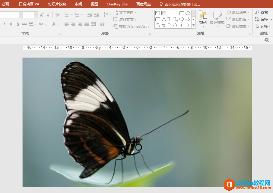 PPT办公技巧：将图片１：１填充为幻灯片背景防止图片变形