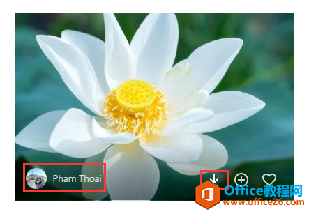 PPT办公技巧：免费可商用的图片怎么搜索下载？