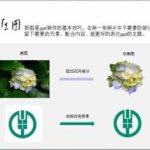 PPT抠图教程 PPT自带完美无遗憾快速抠图技法学习-利剑分享-科技生活