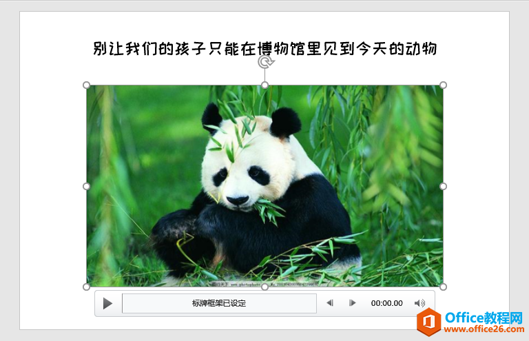 PPT办公技巧：如何更改演示文稿中插入视频的预览封面图像？