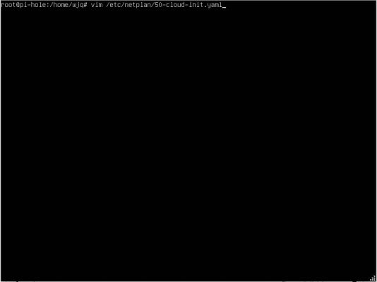 图片[30]-用ESXI搭建自建带广告过滤功能的DNS服务器——Pi-hole - 利剑分享-科技生活-利剑分享-科技生活