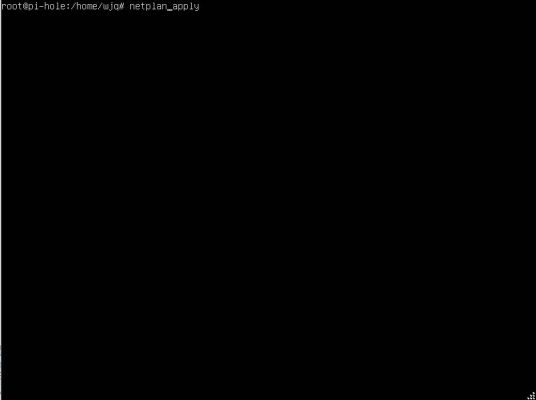 图片[34]-用ESXI搭建自建带广告过滤功能的DNS服务器——Pi-hole - 利剑分享-科技生活-利剑分享-科技生活