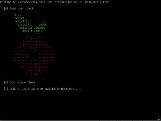 图片[36]-用ESXI搭建自建带广告过滤功能的DNS服务器——Pi-hole - 利剑分享-科技生活-利剑分享-科技生活