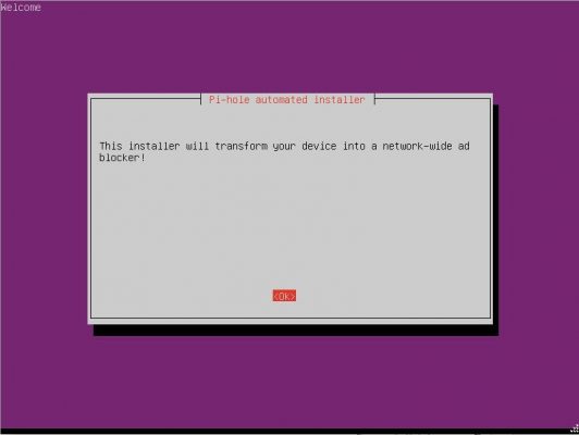 图片[37]-用ESXI搭建自建带广告过滤功能的DNS服务器——Pi-hole - 利剑分享-科技生活-利剑分享-科技生活