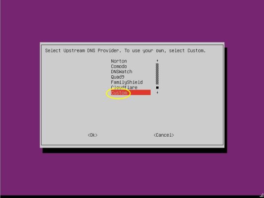 图片[40]-用ESXI搭建自建带广告过滤功能的DNS服务器——Pi-hole - 利剑分享-科技生活-利剑分享-科技生活