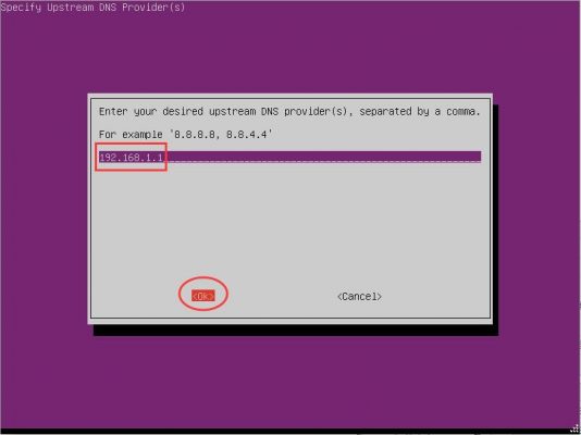 图片[41]-用ESXI搭建自建带广告过滤功能的DNS服务器——Pi-hole - 利剑分享-科技生活-利剑分享-科技生活