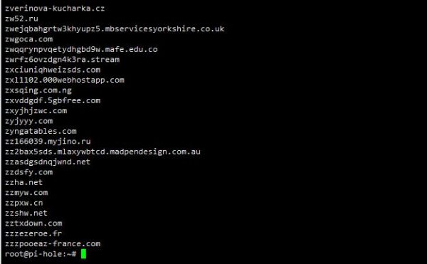 图片[63]-用ESXI搭建自建带广告过滤功能的DNS服务器——Pi-hole - 利剑分享-科技生活-利剑分享-科技生活