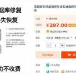 新司机的黑裙战斗机 篇三:群晖【番外篇】群晖系统崩溃后的数据抢救-利剑分享-科技生活