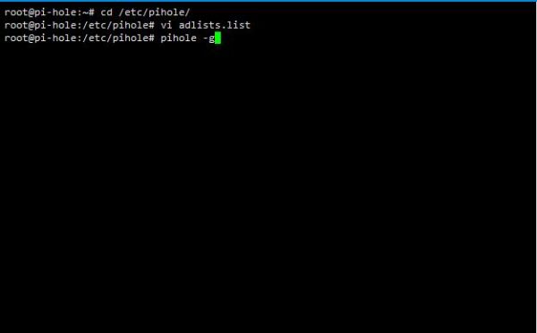 图片[69]-用ESXI搭建自建带广告过滤功能的DNS服务器——Pi-hole - 利剑分享-科技生活-利剑分享-科技生活