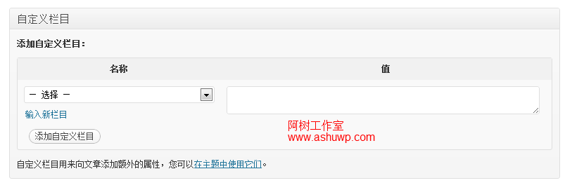 wordPress显示自定义字段版块