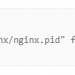 nginx.pid打开失败以及失效的解决方案