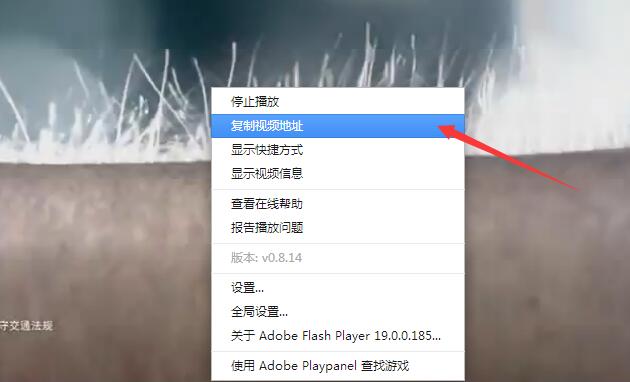 wpcharushipin2 WordPress视频插入2