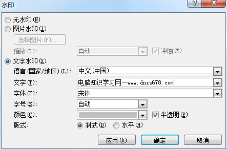 0011253624-2 Word2007添加文档水印