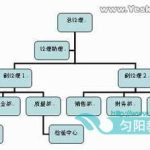 怎样用Word制作组织结构图?-利剑分享-科技生活