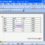 word如何删除、添加行和列-利剑分享-科技生活