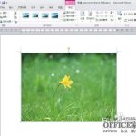 word中如何直接去除图片背景保留主要部分-利剑分享-科技生活