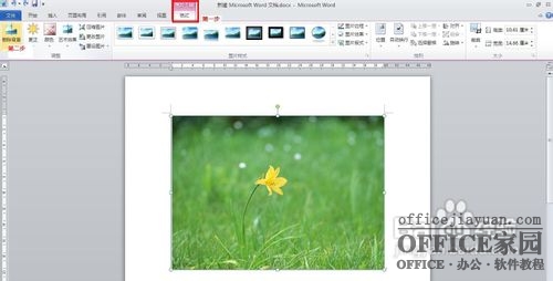 如何用word直接去除图片背景